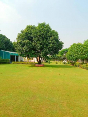 The Mango Tree - By Shay Hospitality